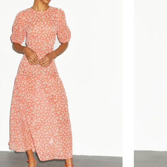 Never Fully Dressed Dresses & Skirts - NWT Never Fully Dressed Coral Daisy Sheer Dress